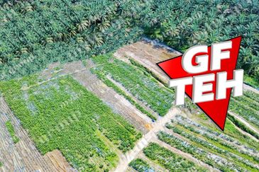 8.54 acres Agricultural Land | Sungai Kechil | Nibong Tebal | Pulau Pinang RM18 psf