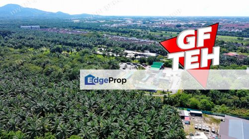 11.78 acres Residential Land | Nibong Tebal | SPS | Pulau Pinang, Penang, Nibong Tebal