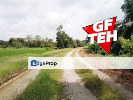 1.71 acre Paddy Field Padang Meha Kulim RM6psf, Kedah, Kulim