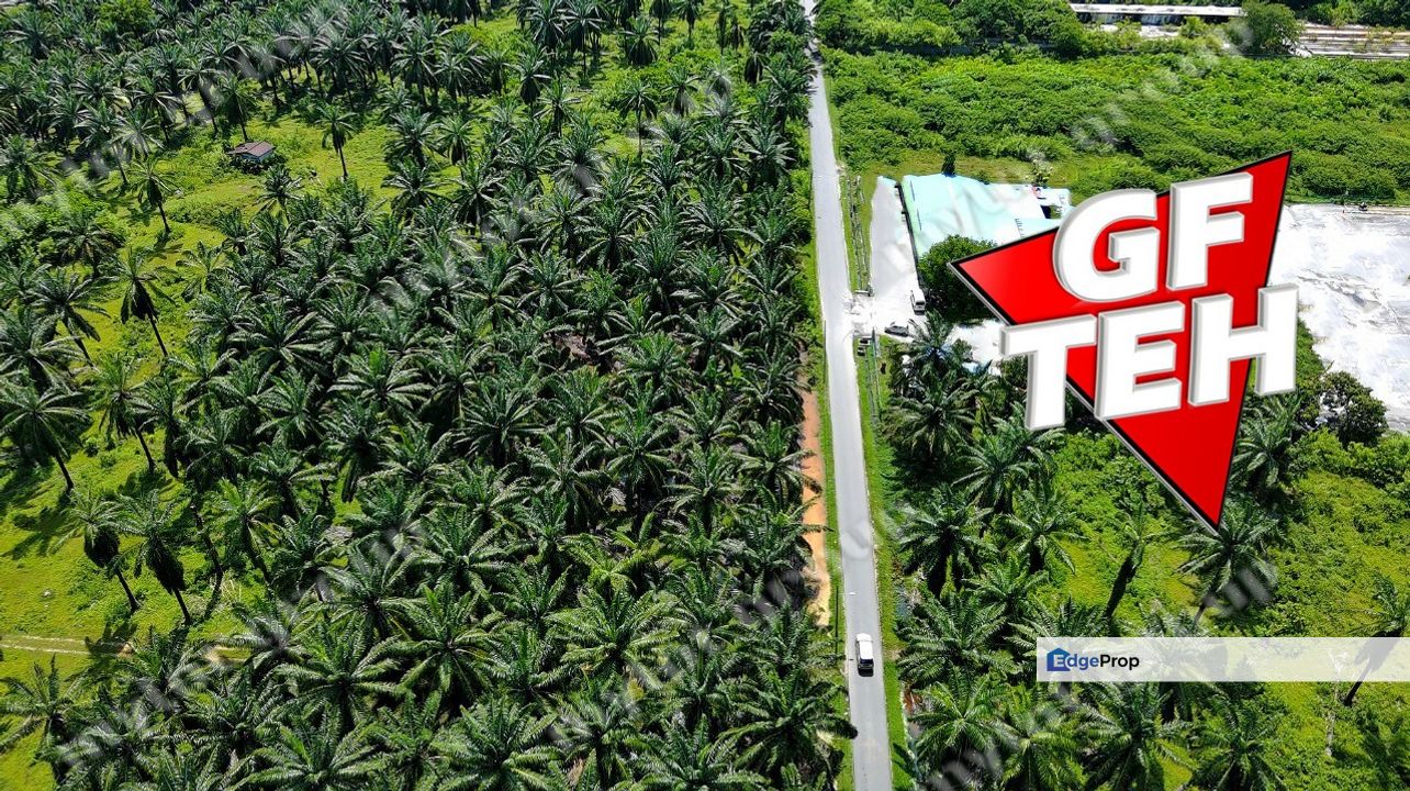 3.92 acres Residential Land Simpang Ampat | Tar Road access | Penang 45psf, Penang, Simpang Ampat