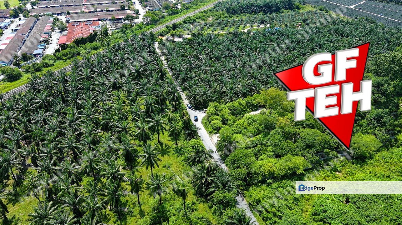 3.92 acres Residential Land Simpang Ampat | Tar Road access | Penang 45psf, Penang, Simpang Ampat