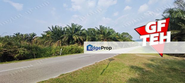 16.51 acres Agricultural Land Main Road Jawi Rm20psf, Penang, Sungai Jawi