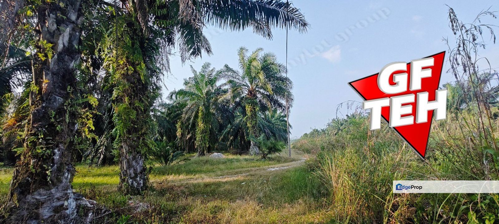 16.51 acres Agricultural Land Main Road Jawi Rm20psf, Penang, Sungai Jawi