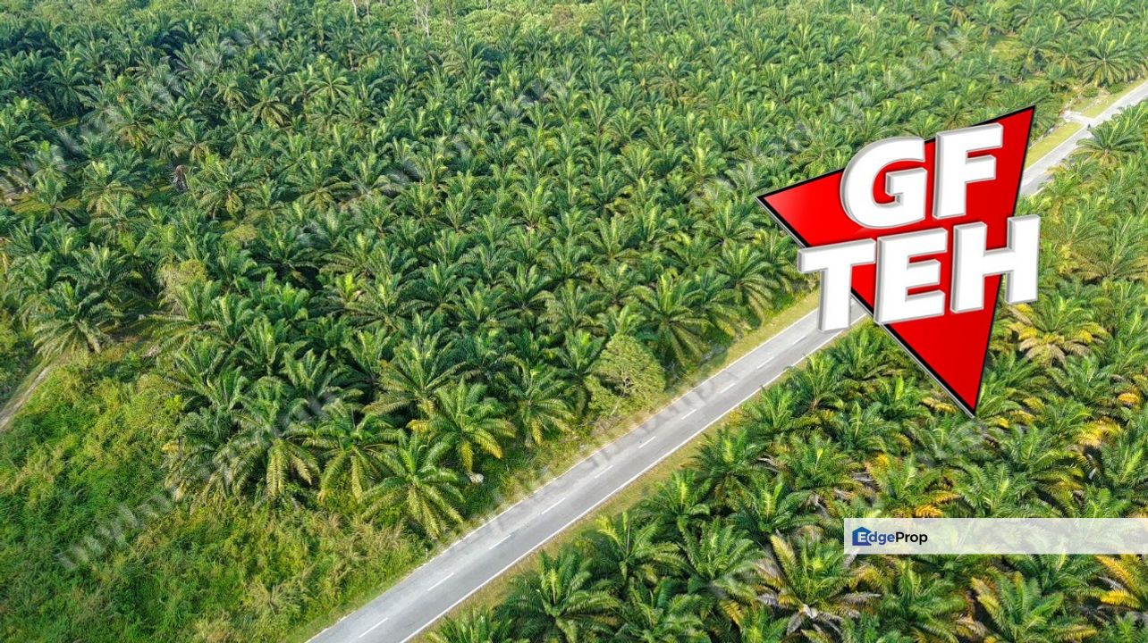 16.51 acres Agricultural Land Main Road Jawi Rm20psf, Penang, Sungai Jawi