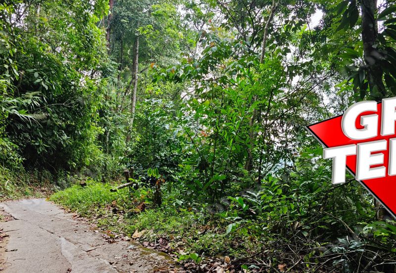 Bukit Bendera (Penang Hill)