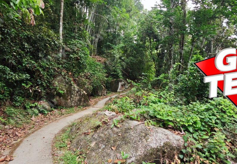 Bukit Bendera (Penang Hill)