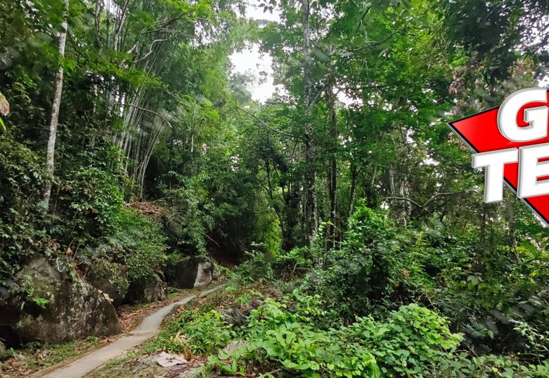 Bukit Bendera (Penang Hill)