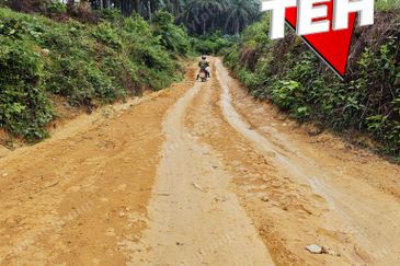 11.62 acres Agricultural land | Palm oil Plantation | Selama | Perak Rm1.94psf