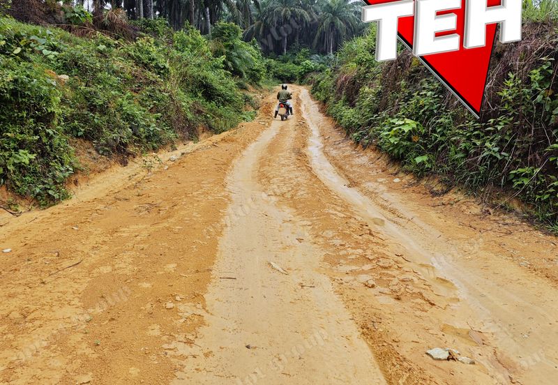 11.62 acres Agricultural land | Palm oil Plantation | Selama | Perak Rm1.94psf