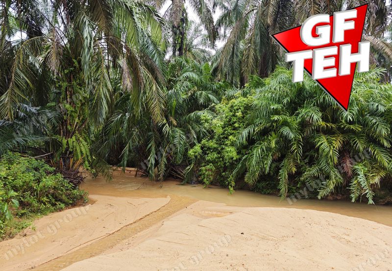 11.62 acres Agricultural land | Palm oil Plantation | Selama | Perak Rm1.94psf