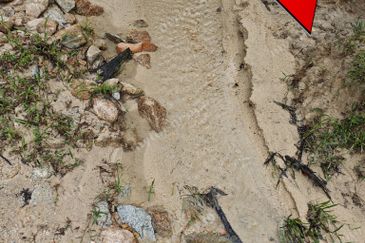 11.62 acres Agricultural land | Palm oil Plantation | Selama | Perak Rm1.94psf