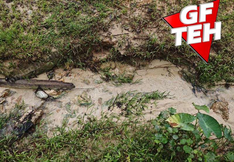 11.62 acres Agricultural land | Palm oil Plantation | Selama | Perak Rm1.94psf