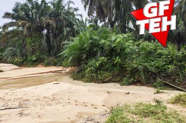 11.62 acres Agricultural land | Palm oil Plantation | Selama | Perak Rm1.94psf