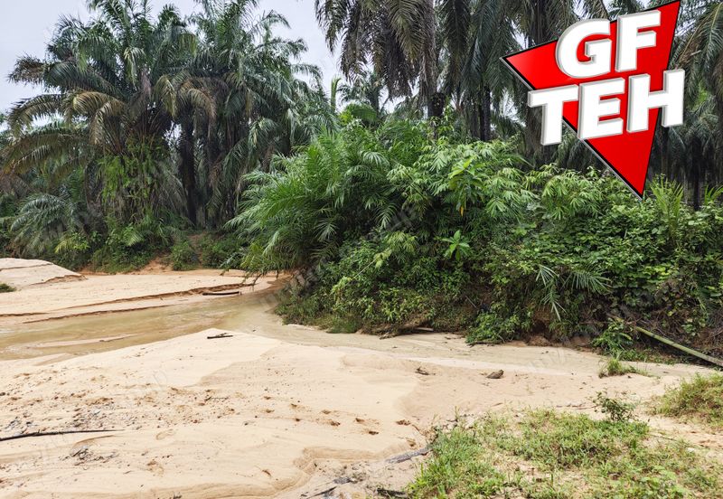 11.62 acres Agricultural land | Palm oil Plantation | Selama | Perak Rm1.94psf