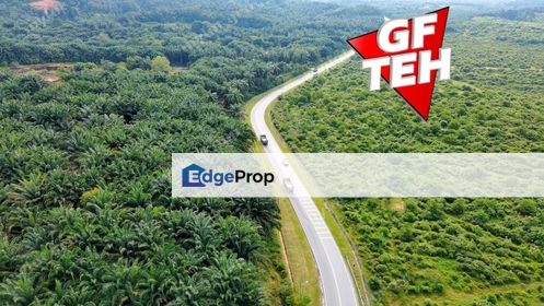 48.92 acres Reserve road Agricultural Land | SPS Pulau Pinang  | Sungai Jawi | Rm18psf, Penang, Sungai Bakap 