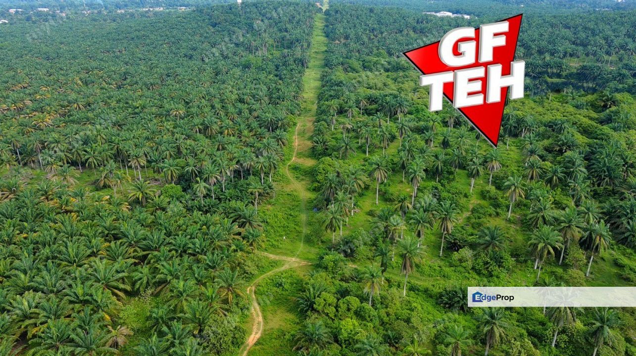 48.92 acre Reserve road Agricultural Land | SPS Pulau Pinang  | Sungai Jawi | Rm18psf, Penang, Sungai Bakap 