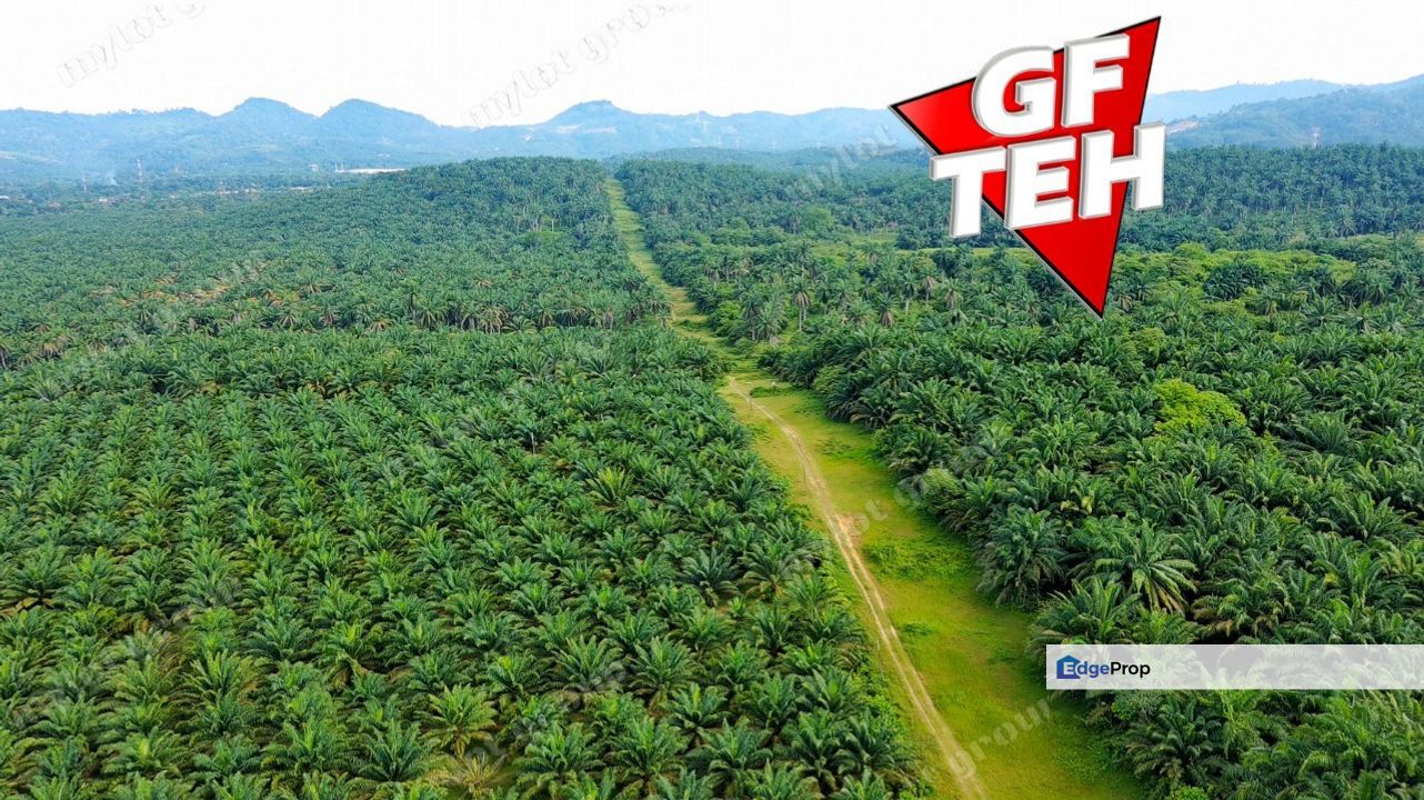 48.92 acre Reserve road Agricultural Land | SPS Pulau Pinang  | Sungai Jawi | Rm18psf, Penang, Sungai Bakap 