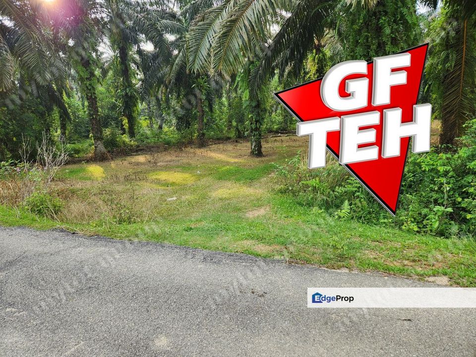 2.684 acre Agricultural Land |Rantau panjang | Selama | Perak b, Perak, Selama
