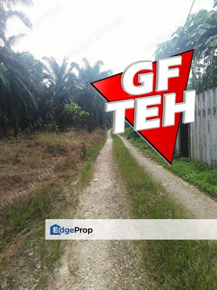 13.11 acres Flat Land | Tasek Junjung | Simpang Empat | Penang j, Penang, Simpang Ampat