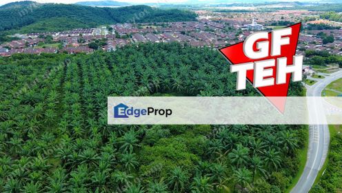 10.66 acres Main Road | Zoning Residential | Sungai Petani | Kedah, Kedah, Sungai Petani