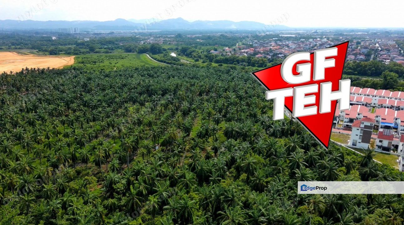 13.63 acres Residential Land | Bukit Tambun | Simpang Ampat | Penang Rm55psf, Penang, Simpang Ampat