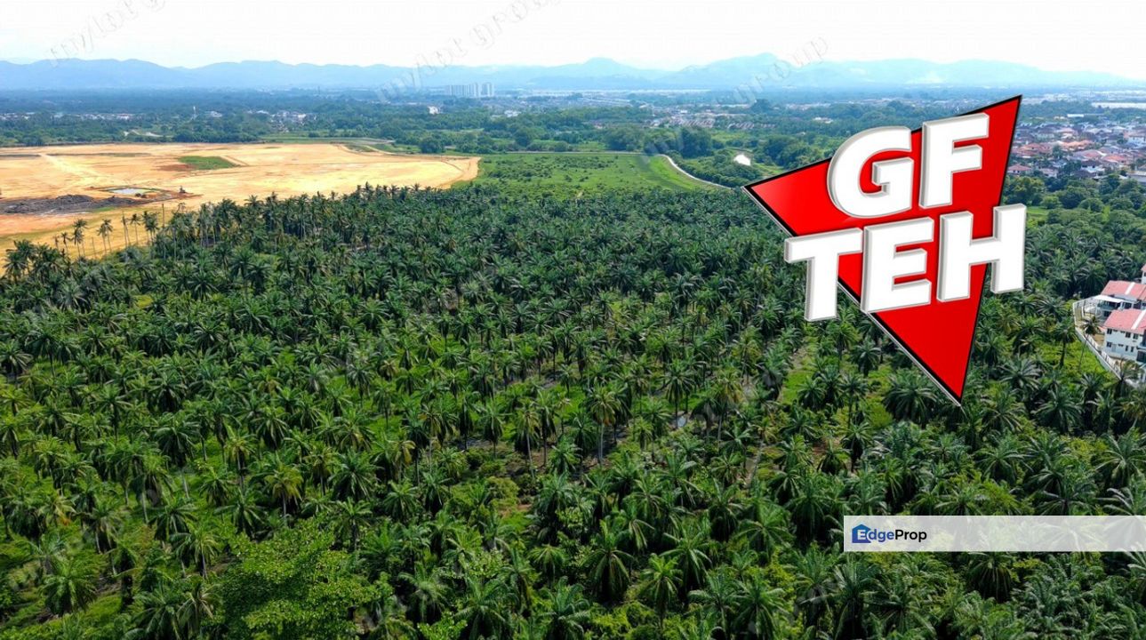 13.63 acres Residential Land | Bukit Tambun | Simpang Ampat | Penang Rm55psf, Penang, Simpang Ampat