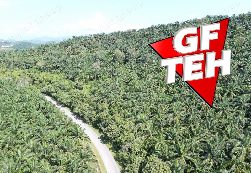 86.68 acres Agricultural Land | Beside Main Road | Tawar | Baling | Kedah b