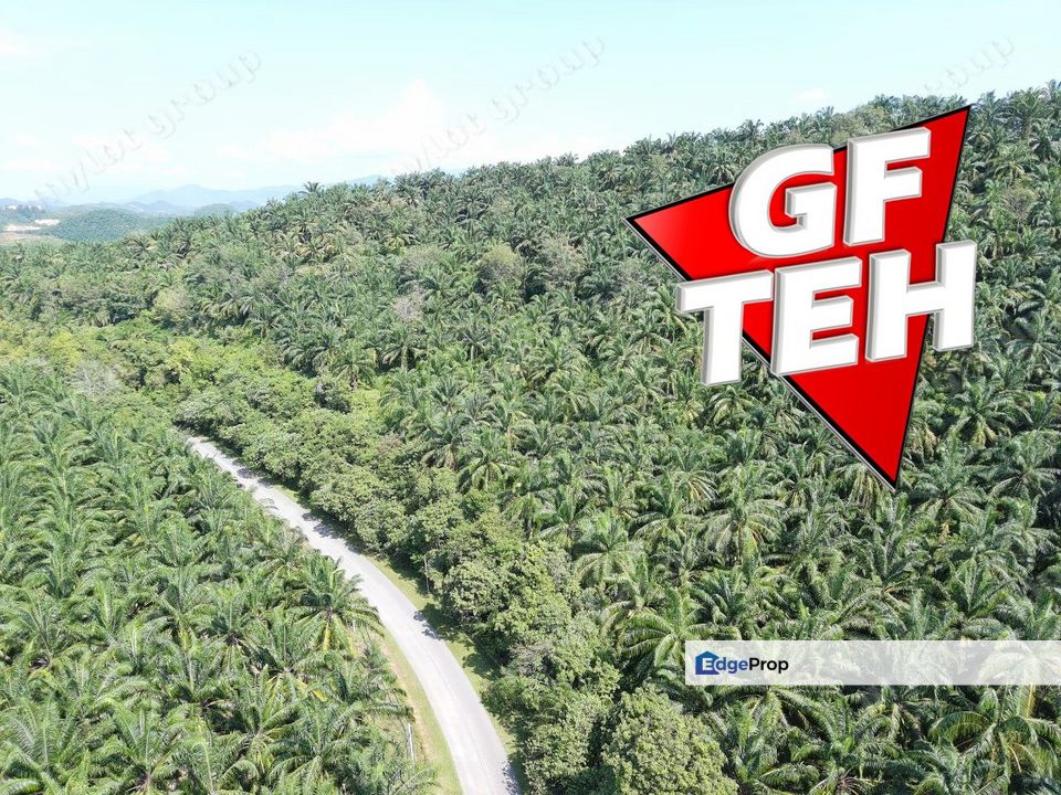 86.68 acre Agricultural Land | Beside Main Road | Tawar | Baling | Kedah Rm3.07 psf B, Kedah, Baling