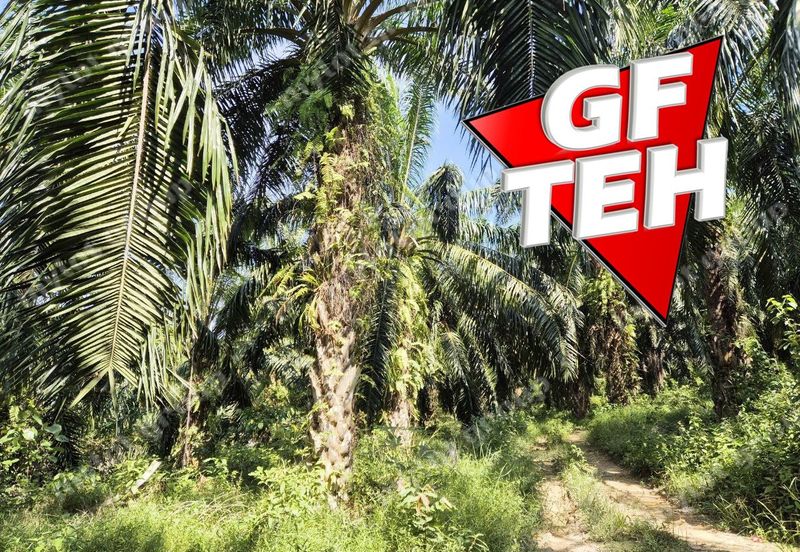 86.68 acres Agricultural Land | Beside Main Road | Tawar | Baling | Kedah b