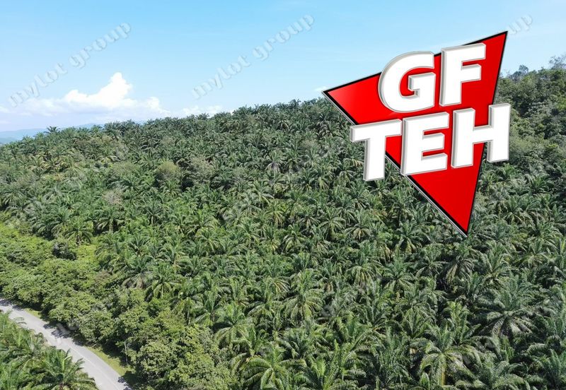 86.68 acres Agricultural Land | Beside Main Road | Tawar | Baling | Kedah b