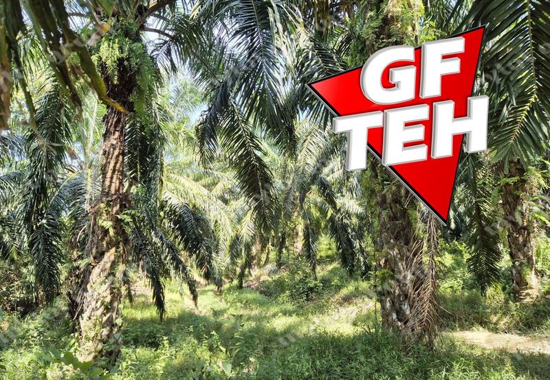 86.68 acres Agricultural Land | Beside Main Road | Tawar | Baling | Kedah b