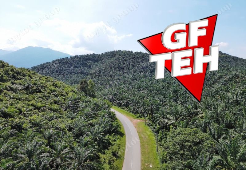 86.68 acres Agricultural Land | Beside Main Road | Tawar | Baling | Kedah b