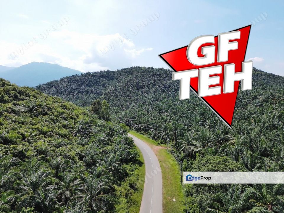 86.68 acre Agricultural Land | Beside Main Road | Tawar | Baling | Kedah Rm3.07 psf B, Kedah, Baling