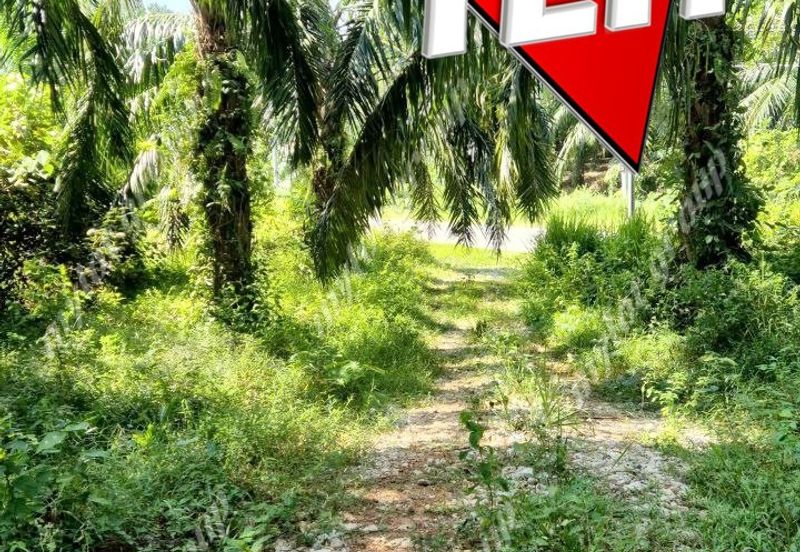 86.68 acres Agricultural Land | Beside Main Road | Tawar | Baling | Kedah b