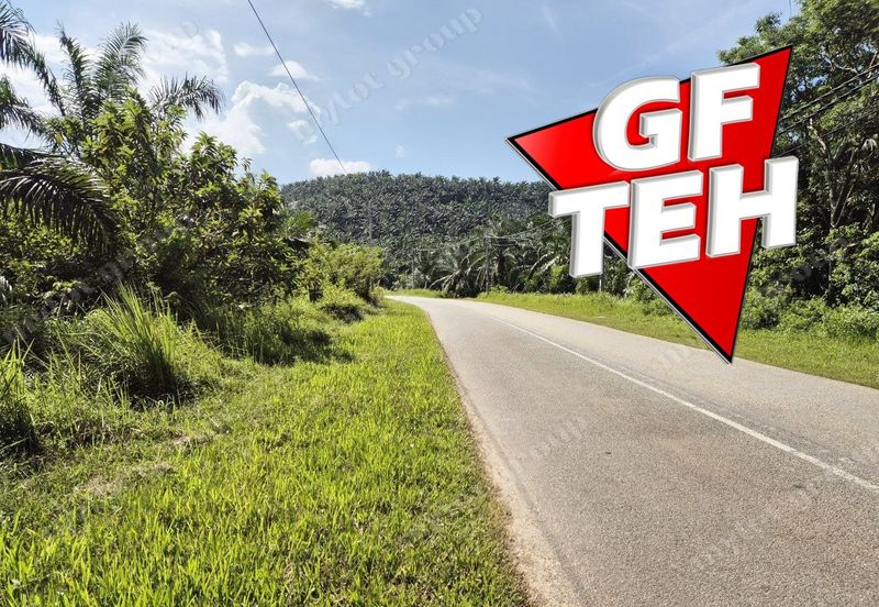 86.68 acres Agricultural Land | Beside Main Road | Tawar | Baling | Kedah b