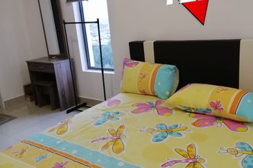 Eco Bloom @ Eco Meadows