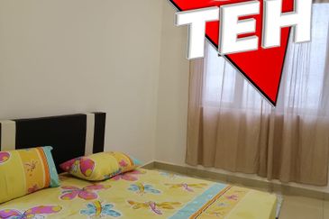 Eco Bloom @ Eco Meadows