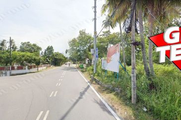 Taman Balik Pulau