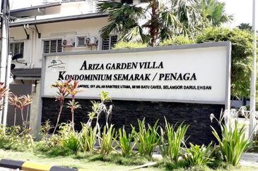 Penaga @ Taman Raintree