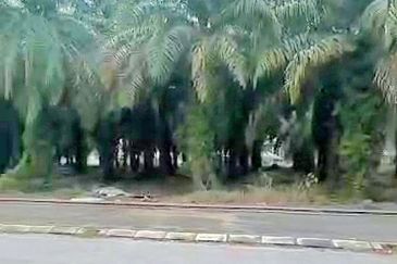 TAMAN DESA PERMAI, KAMPUNG KOH