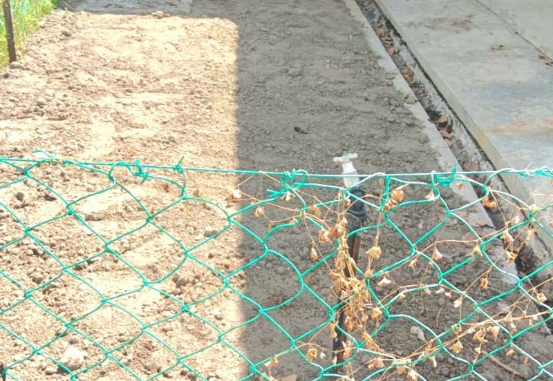 TAMAN KAMUNTING AMAN