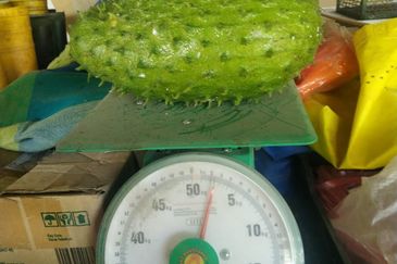 RPSB KAMPUNG LENGKONG