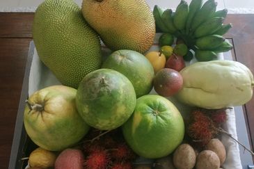 RPSB KAMPUNG LENGKONG