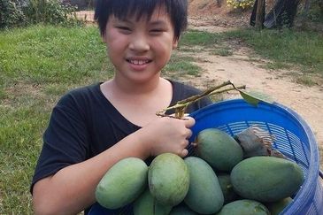 RPSB KAMPUNG LENGKONG