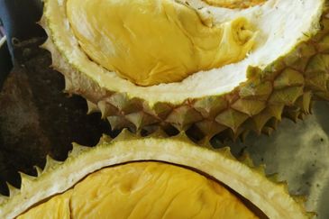 RPSB KAMPUNG LENGKONG