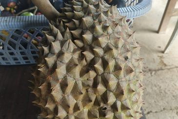 RPSB KAMPUNG LENGKONG