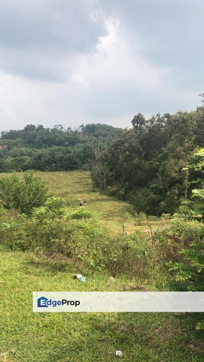 Flat land between  Eco Majestic & Eco Hills 3 acres , Selangor, Semenyih