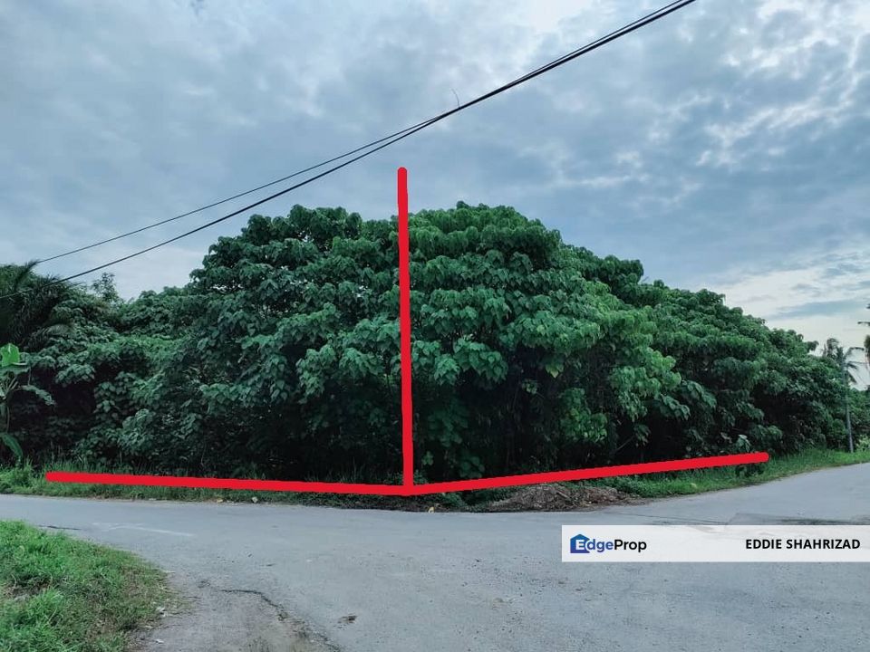 Telok Gong Agriculture land Zoning Residential commercial Klang, Selangor, Port Klang