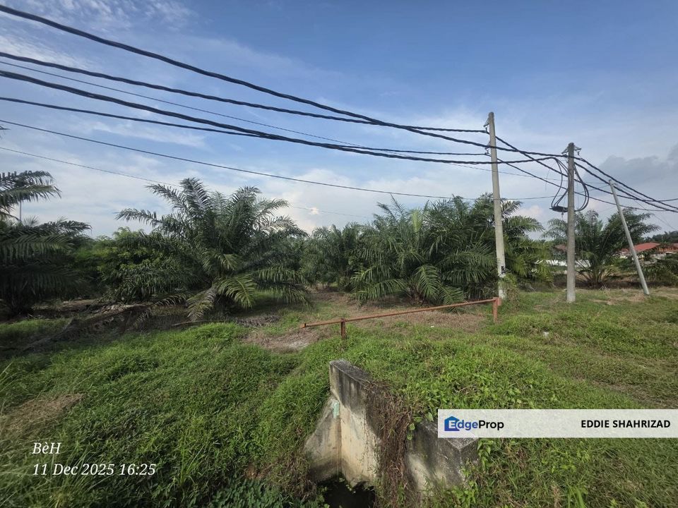 ijok Kuala Selangor Agri Land, Selangor, Kuala Selangor