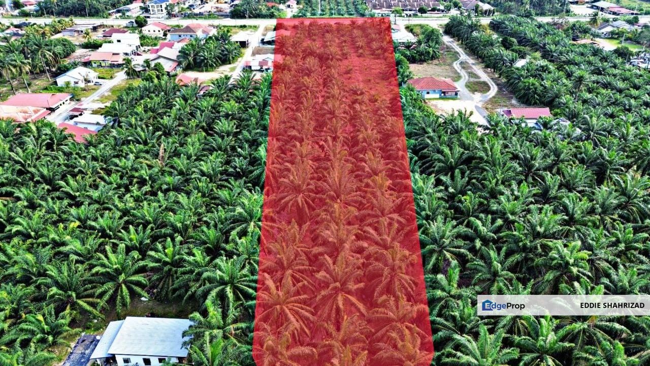 ijok Kuala Selangor Agri Land, Selangor, Kuala Selangor